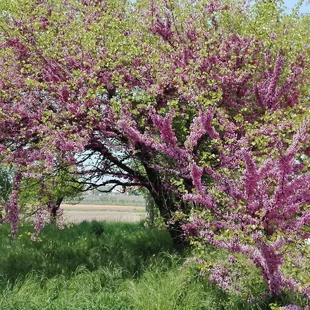 Da Miriam Bed and breakfast 3*