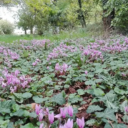 Bed and breakfast Da Miriam