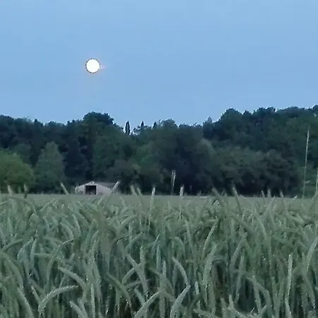 Bed & Breakfast Da Miriam 3*