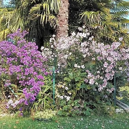 Da Miriam Castelnuovo del Garda