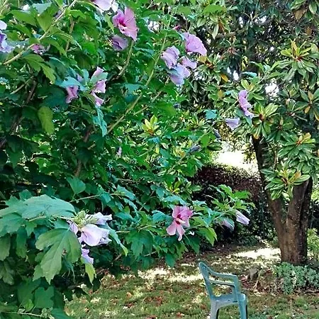 Da Miriam Bed & Breakfast Castelnuovo del Garda