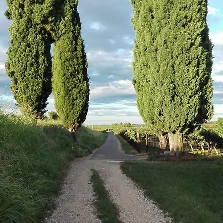 Oda ve Kahvaltı Da Miriam Castelnuovo del Garda
