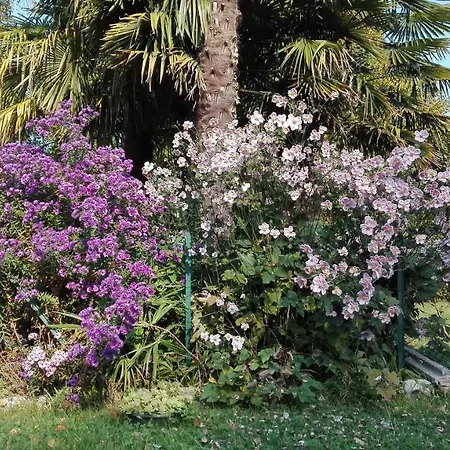 Bed and breakfast Da Miriam