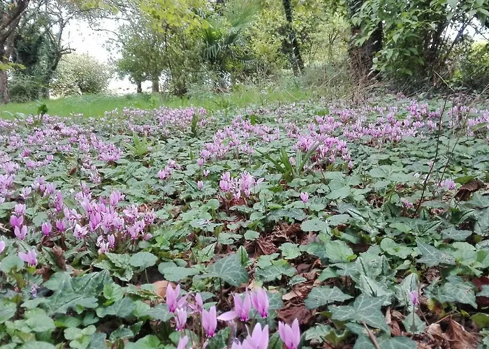 Bed & Breakfast Da Miriam