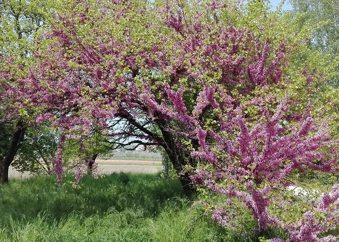 Da Miriam Couette-café 3*